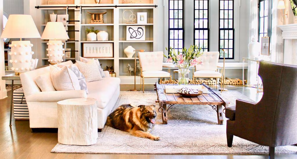 Pet-Proofing 