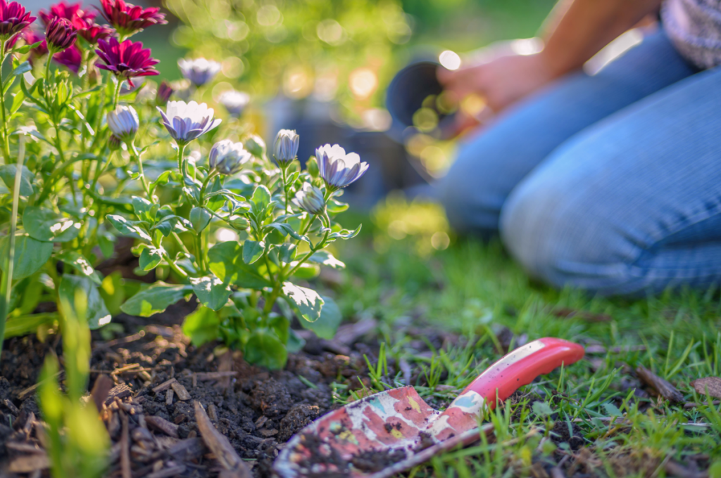 Greatest Gardening Plan